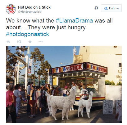 llama blog - hotdogs on a stick