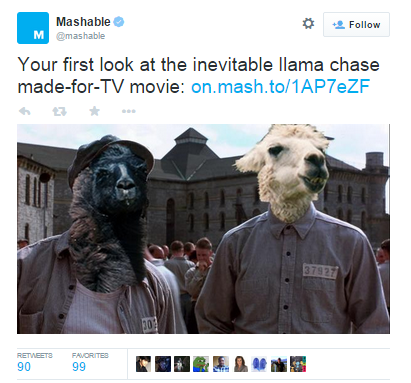 llama blog - movies