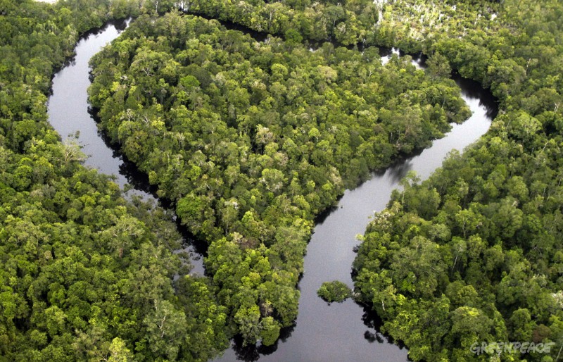 An aerial photograph showing a wet land at Sentarum lake national park. owned by PT Kartika Prima Cipta subsidiary by Sinar Mas Tbk, close to Sentarum Lake National Park in Kapuas Hulu distric, West Kalimantan, Indonesia on Tuesday 06 July 2010. Photo Greenpeace/Ardiles Rante
