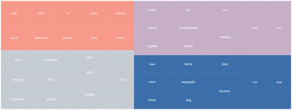 audience-analysis-bio-keywords-city