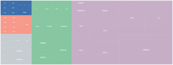 audience-analysis-bio-keywords-country