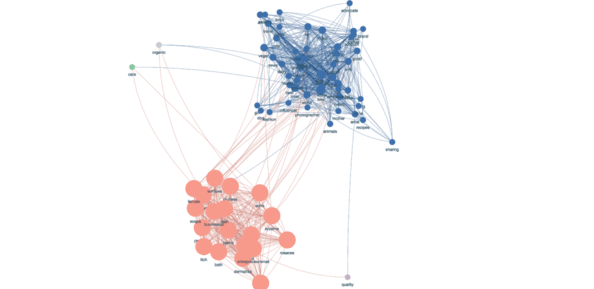 audience-analysis-bio-keywords-network