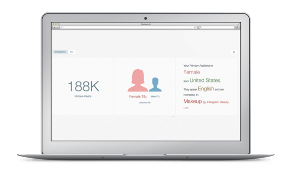 audience-analysis-what-is-definition-demographics