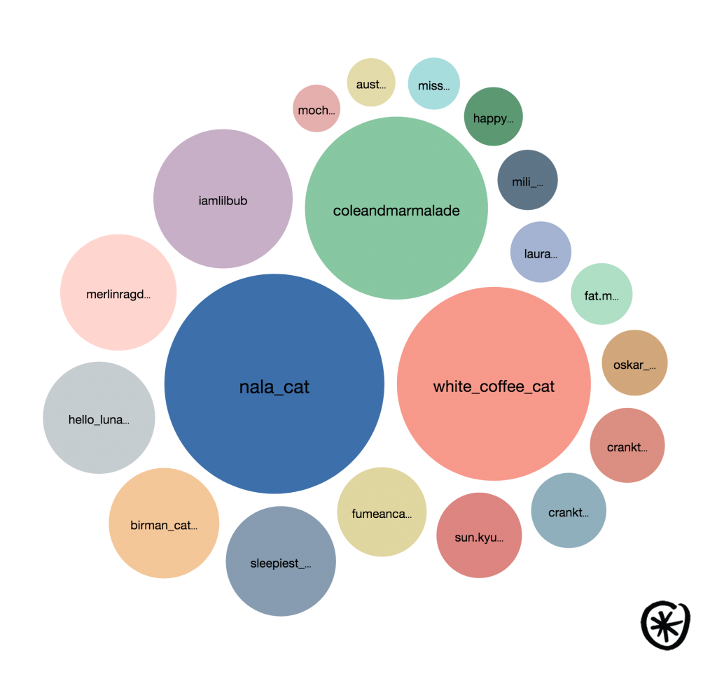 catfluencer network