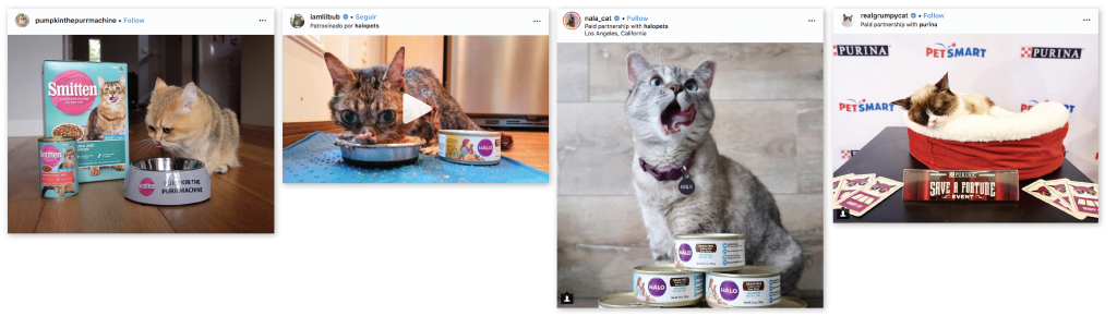 catfluencers sponsored posts cat food