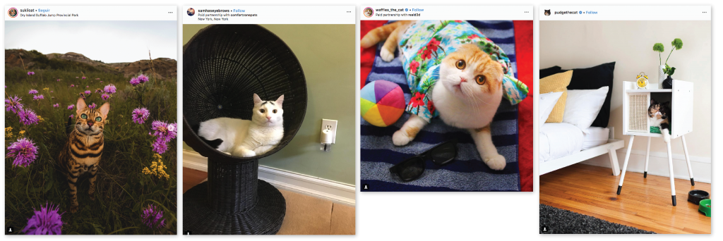 catfluencers sponsored posts for humans