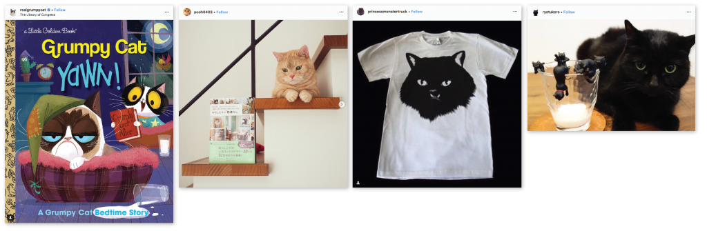 catfulencers sponsored posts own merch
