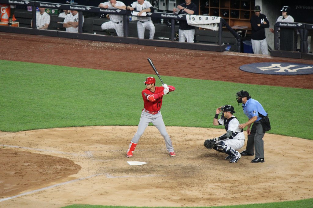 Shohei Ohtani by Shinya Suzuki