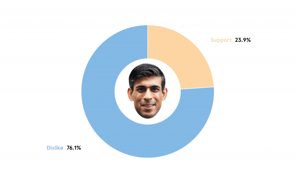 RIshi Sunak Opinion Split