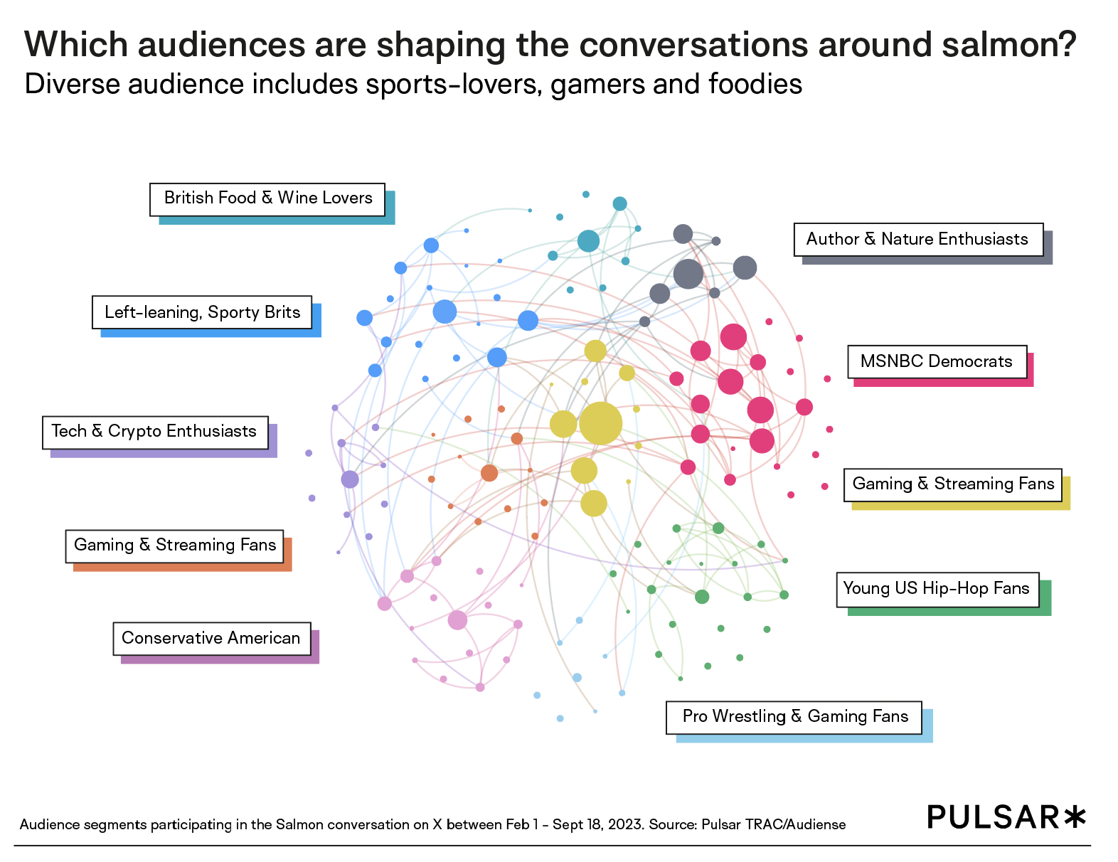 Audience segmentation Pulsar